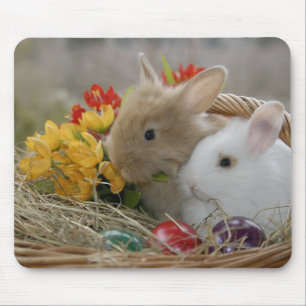 Bunnies In Basket Mouse Pad