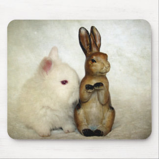 Bunnies Mouse Pad
