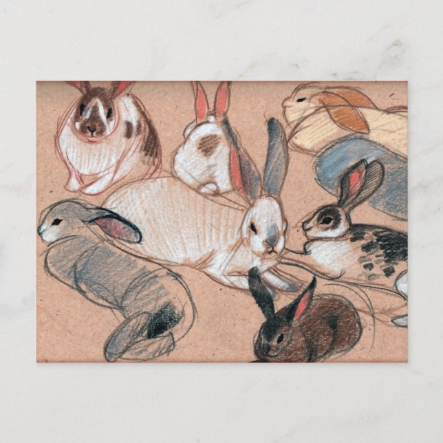 Bunnies Postcard (Front)