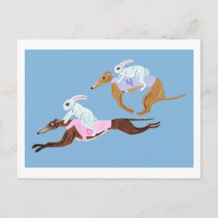 Bunnies riding Greyhounds Postcard