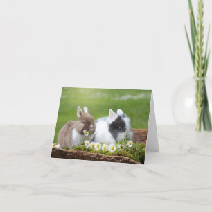 Bunnies With Daisies Easter Holiday Card
