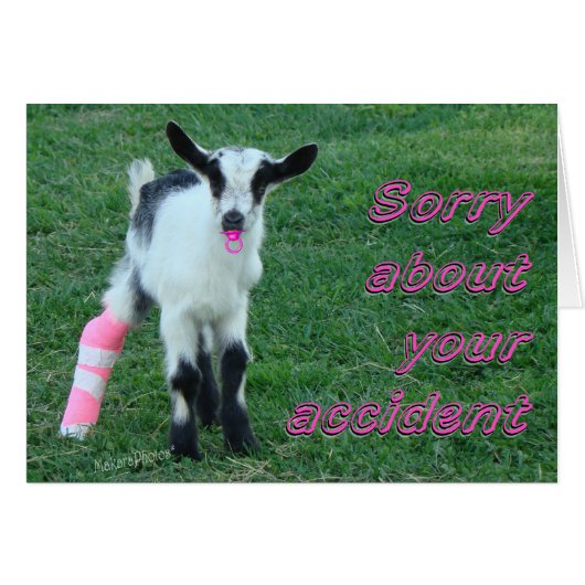 Bunny1375-customize (Front Horizontal)