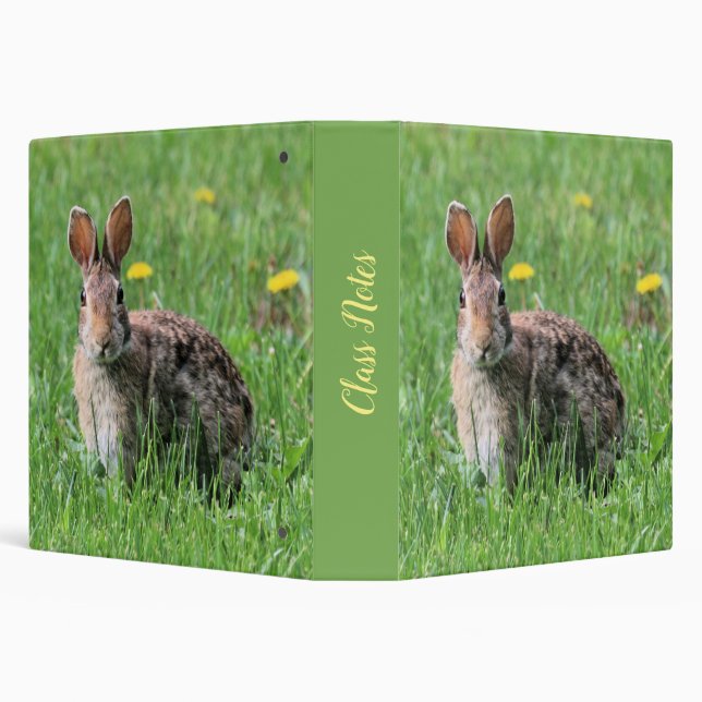 Bunny 3 Ring Binder (Background)