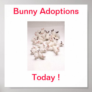 Bunny Adoption Today Sign