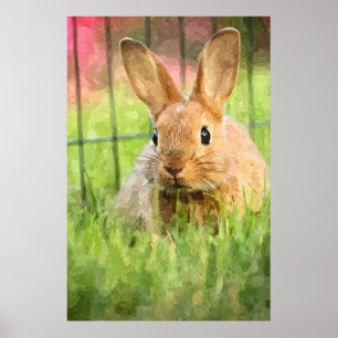 Bunny Among The Grass Poster