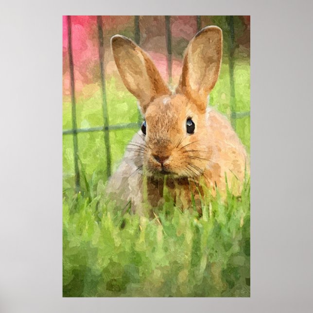 Bunny Among The Grass Poster (Front)