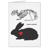 Bunny Anatomy (Front)