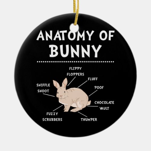 Bunny Anatomy Rabbit Lover Bunny Mom Ceramic Ornament