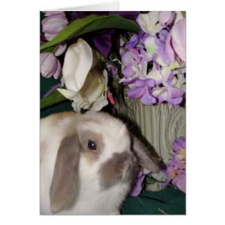Bunny and Blooms 08 Cards