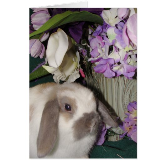 Bunny and Blooms 08 Cards (Front)