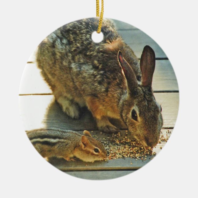 Bunny and Chipmunk Sharing Ceramic Ornament (Front)