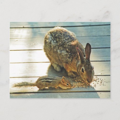 Bunny and Chipmunk Sharing Postcard