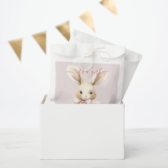 Bunny Baby Shower Girl  Favor Bag (Party)