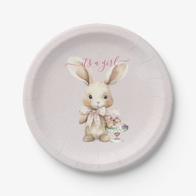 Bunny Baby Shower Girl  Paper Plates (Front)