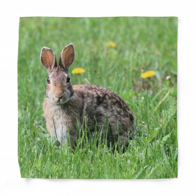 Bunny Bandana (Front)