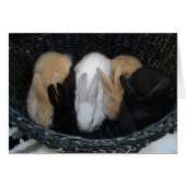 Bunny Basket (Front Horizontal)
