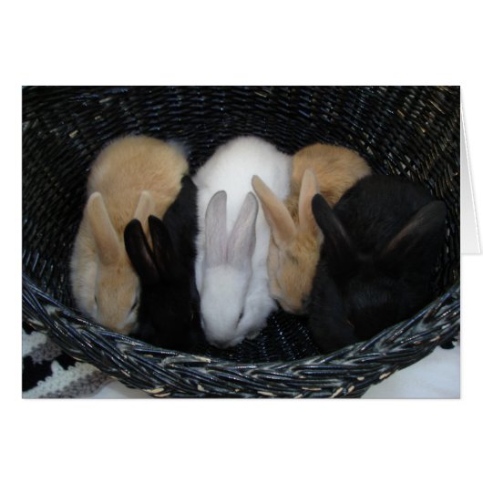 Bunny Basket Cards (Front Horizontal)