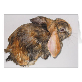 Bunny Bathtime Cards
