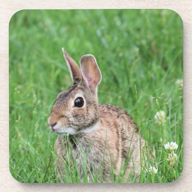 Bunny    beverage coaster (Front)
