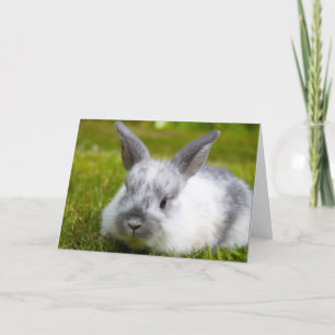 Bunny Birthday Card