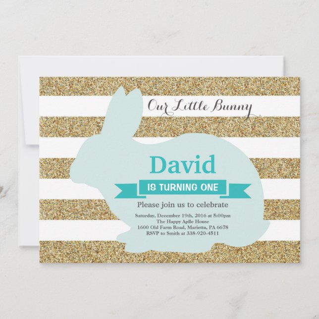 Bunny Birthday Easter Egg 1st First Birthday Invitation (Front)