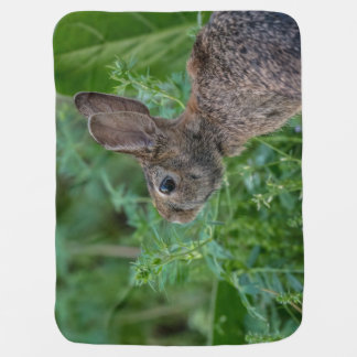 Bunny Blanket