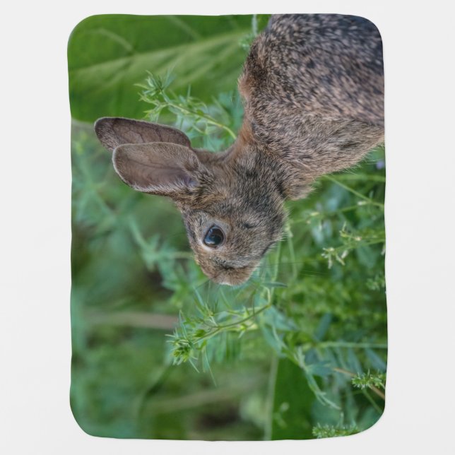 Bunny Blanket (Front)