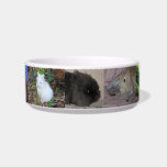 Bunny Bowl<br><div class="desc">For those that love bunnies,  we offer a ceramic pet dish featuring adorable photos of multiple rabbit breeds.</div>