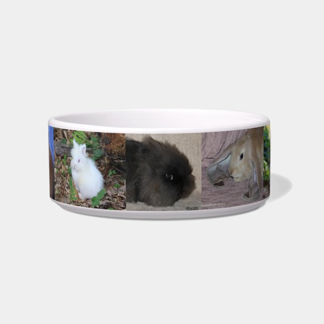 Bunny Bowl (Front)