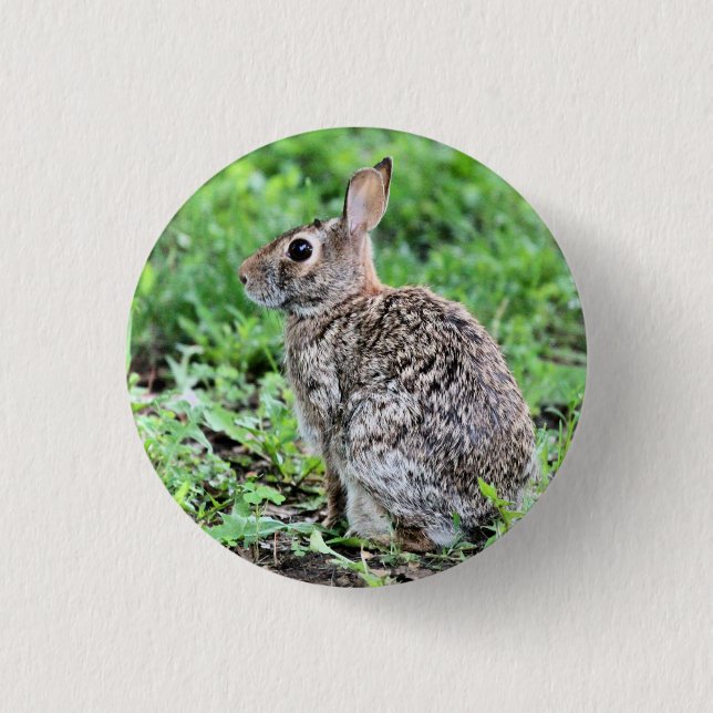 Bunny  button (Front)