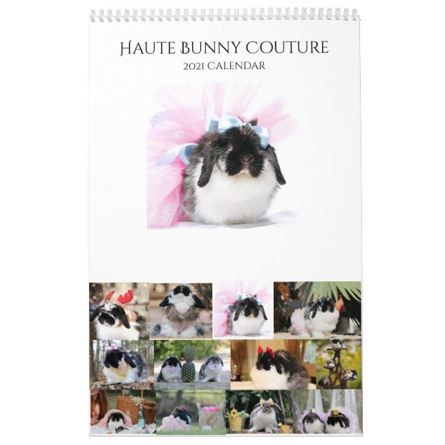 Bunny Calendar (Cover)