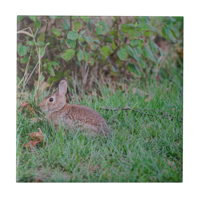 Bunny Ceramic Tile (Front)