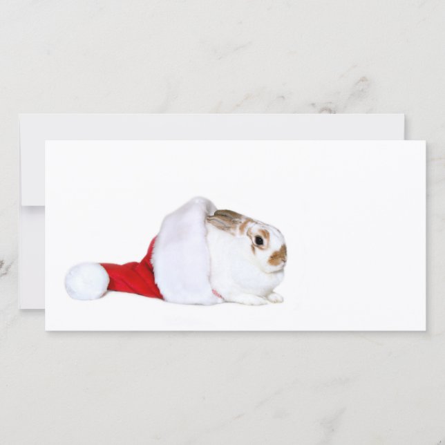 Bunny Christmas Holiday Card (Front)