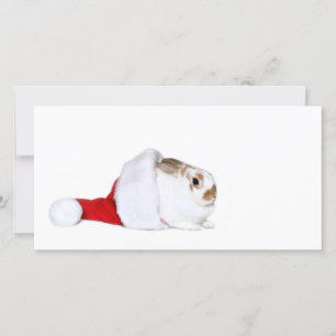 Bunny Christmas Holiday Card