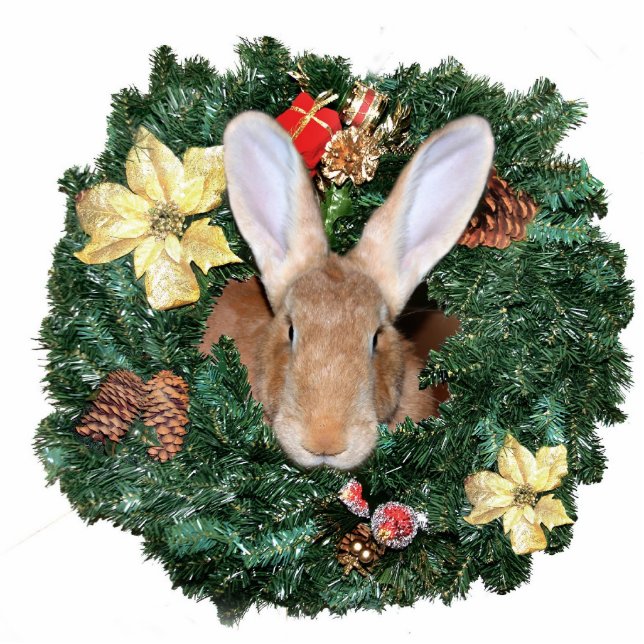 Bunny Christmas ornament (Front)