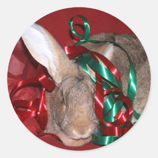 Bunny Christmas party Classic Round Sticker