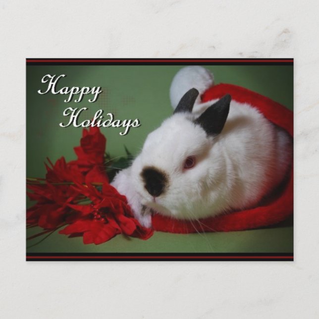 "Bunny Christmas" Photo Card (Front)