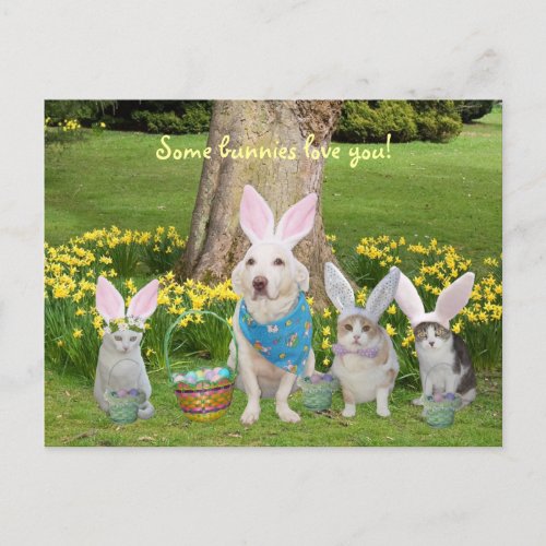 Bunny Dog with Bunny Cats Holiday Postcard