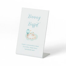 Bunny Dreams blue baby shower