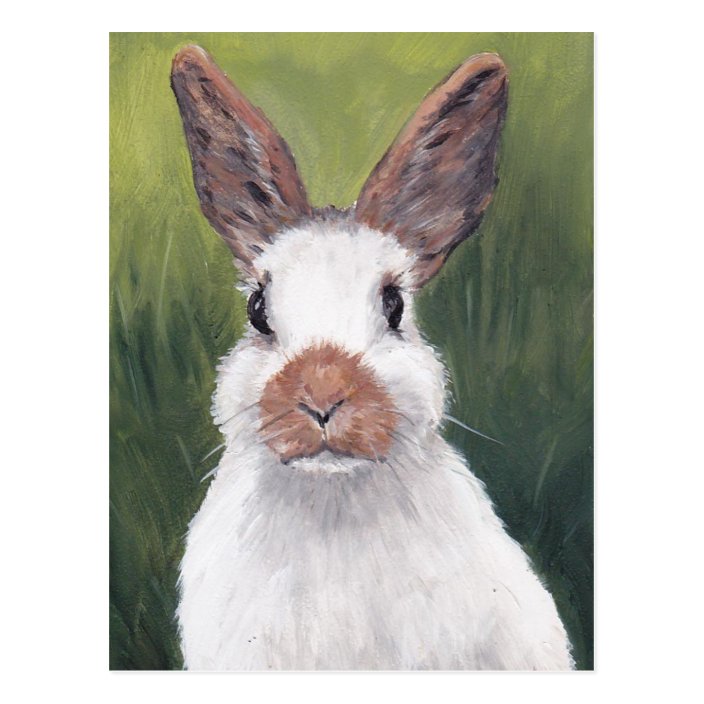 Bunny Ears Animal Art Postcard | Zazzle.com