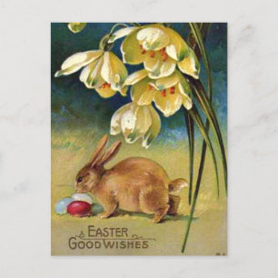 Bunny, Eggs, and Snowdrops, vintage 1910 Postcard