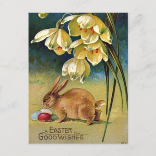 Bunny Eggs and Snowdrops vintage 1910 Postcard