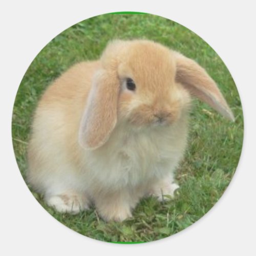 BUNNY FACE CLASSIC ROUND STICKER