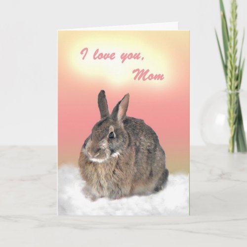 Bunny for Mom Mothers Day Card