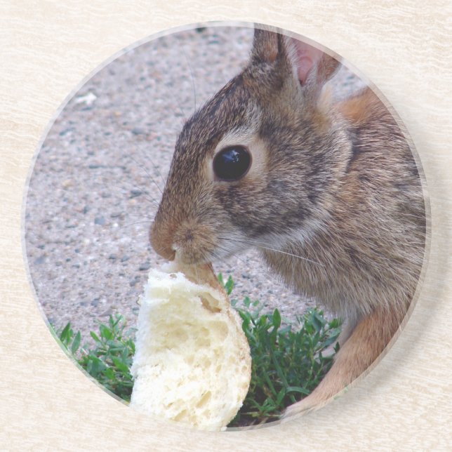 Bunny Found Bread Drink Coaster (Front)