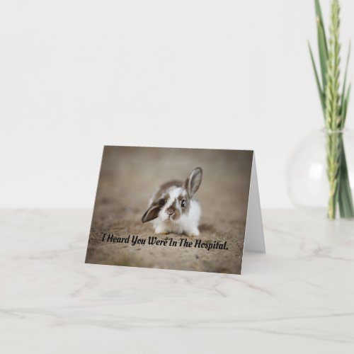 Bunny Get Well Greeting Card