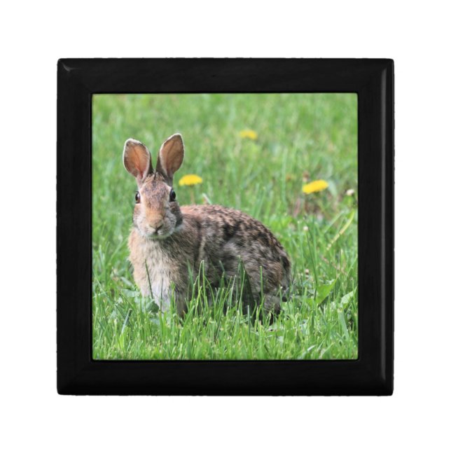 Bunny  gift box (Front)