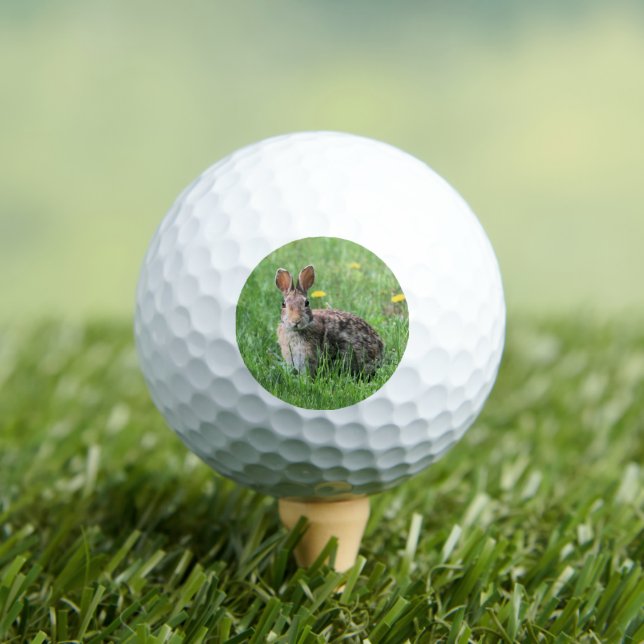 Bunny Golf Balls (Insitu Tee)