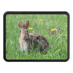 Bunny hitch cover