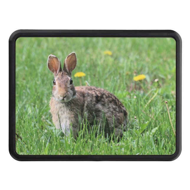 Bunny    hitch cover (Front)